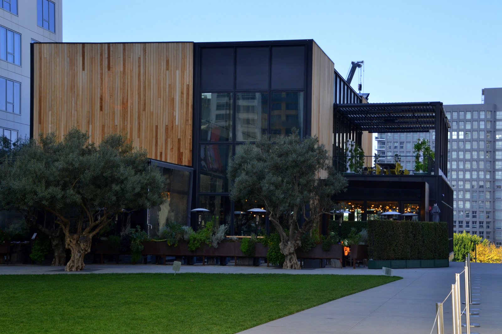 Otium restaurant exterior on The Broad museum plaza, Downtown Los Angeles, with olive trees and wood-and-glass facade
