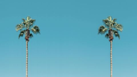 Sobuneh — West LA / Sawtelle